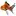 Lapagedupoissonrouge.net Favicon