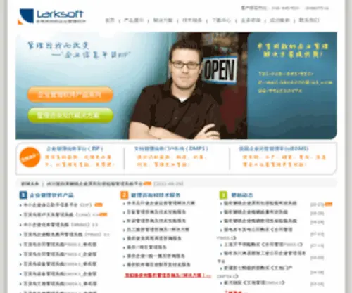 Larksoft.net(中小企业仓库管理WMMS) Screenshot