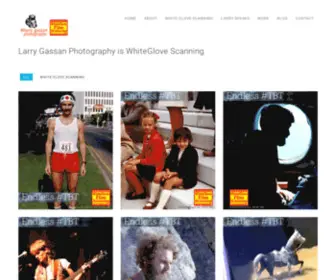 Larrygassan.com(Larry Gassan) Screenshot