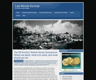 Lastminutesurvival.com(Last Minute Survival) Screenshot