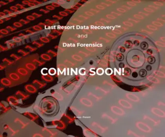 Lastresortdatarecovery.com(Last Resort Data Recovery) Screenshot