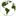 Latitudenature.com Favicon