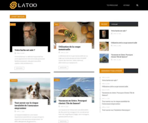 Latoo.net(Latoo) Screenshot