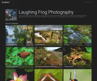 Laughingfrogphotography.com(Laughing Frog Photography) Screenshot