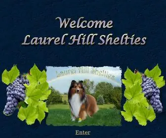 Laurelhill-Shelties.com(Enter Laurel Hill Shelties) Screenshot