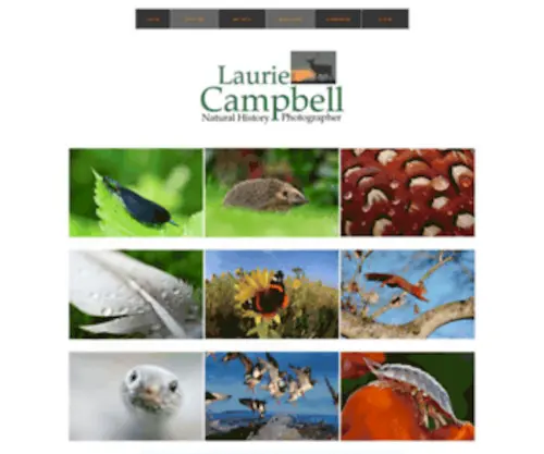 Lauriecampbell.com(Laurie Campbell) Screenshot