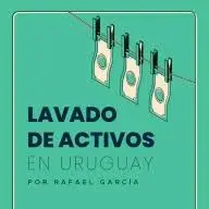 Lavadodeactivosenuruguay.com Favicon