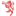 Lavocedibagheria.it Logo
