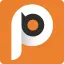 Layparking.com Favicon