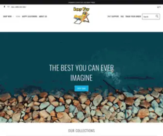 Lazyfry.com(Create an Ecommerce Website and Sell Online) Screenshot