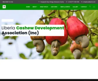 LCDaliberia.org(Growing The Liberian Cashew Industry) Screenshot