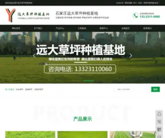 LCYDCP.com(河北草坪) Screenshot