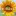 LE-Soleil.co.jp Favicon