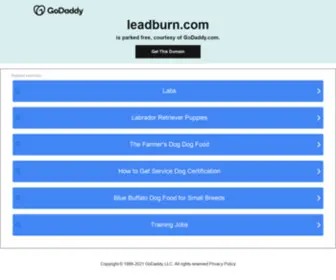 Leadburn.com(The Leading Lead Burn Site on the Net) Screenshot