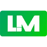 Leadmarketwise.com Favicon