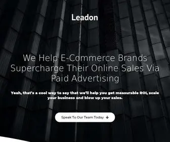 Leadon.fi(Ecommerce Marketing Agency) Screenshot