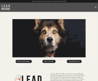 Leadrescue.org(Lead Rescue is a Chicago based 501(c)(3)) Screenshot