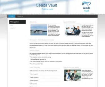 Leadsvault.com(Contact Us) Screenshot