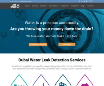 Leakdtech.com(Water Leak Detection Services Company) Screenshot