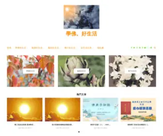 Learnbuddhanewlife.com(新生活) Screenshot