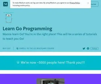 Learngoprogramming.com(Learn Go Programming) Screenshot