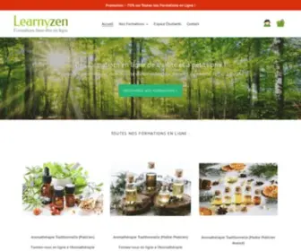 Learnyzen.fr(Formations et cours en ligne (elearning)) Screenshot