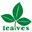 Leaves.vc Favicon