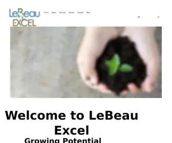 Lebeauexcel.com(LeBeau Excel) Screenshot