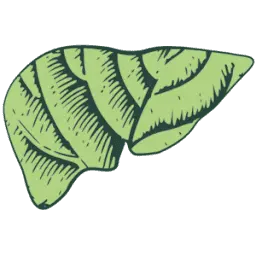 Lebergott.com Favicon