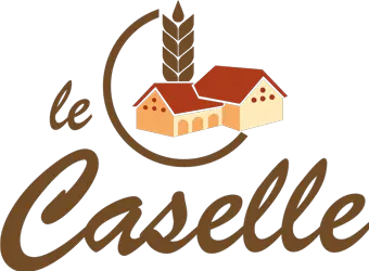 Lecaselle.it Favicon