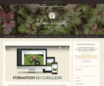 Lechemindelanature.com(Le Chemin de la Nature) Screenshot