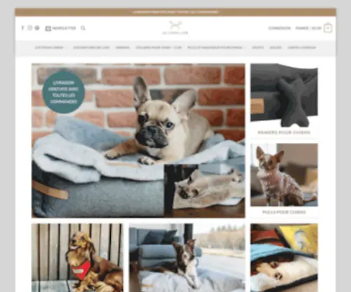 Lechienluxe.com(Boutique chien) Screenshot