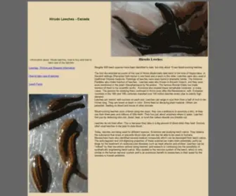 Leeches.biz(Leeches for sale) Screenshot