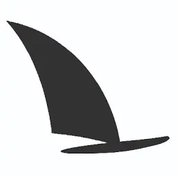 Leerwindsurfen.nl Favicon