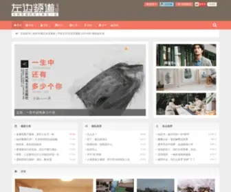 Leftfm.com(左边频道) Screenshot