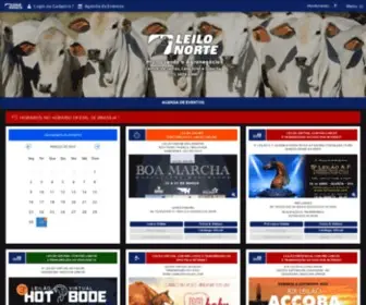 Leilonorte.com(Agronegócio) Screenshot
