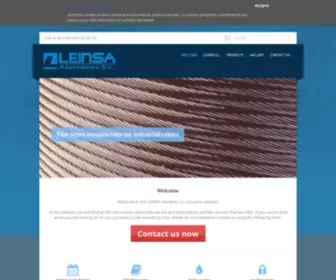 Leinsa.com(Leinsa Alambres S.L) Screenshot