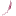 Leishvet.org Favicon