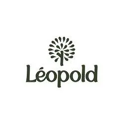 Lemarchedeleopold.com Favicon