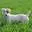 Lemoulingalveau.fr Favicon