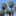 Lencr.com Favicon