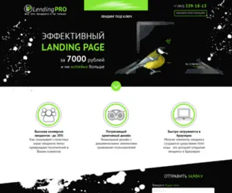 Lending-Pro.ru(лендинг) Screenshot