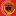 Lensahukum.co.id Favicon
