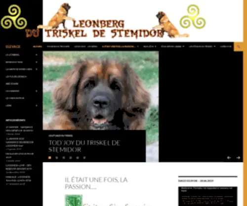Leonberg-DE-Stemidor.com(Léonberg) Screenshot