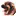 Leonberger.dk Favicon