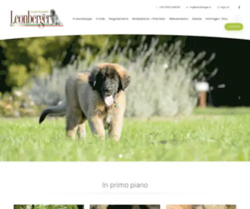 Leonberger.it(Club Italiano del Leonberger) Screenshot