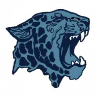 Leopardathletics.org Favicon