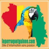 Leperroquetguinee.com Favicon