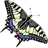 Lepidoptera.no Favicon