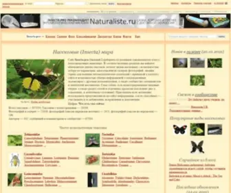 Lepidoptera.ru((Insecta)) Screenshot